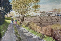 mas-bei-uzes-juerg-treichler-2024