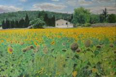 sonnenblumenfeld-provence-juerg-treichler-2010