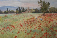 typisch-provence-juerg-treichler-2022