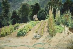 gartenarbeit-toscana-juerg-treichler-2003