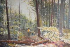 herbststimmung-am-uetliberg-juerg-treichler-2016
